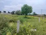 प्लाट दादरी badhra रोड से 100 मीटर अंदर है। Badhra से 1.5 km निकल के