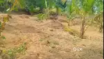 12 Cents Residential plot for sale in, Thiruvaniyoor, Ernakulam.  Tota