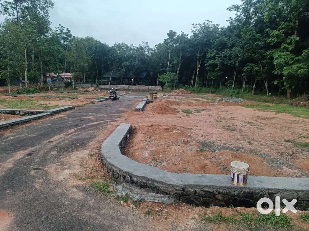 LOW BUDGET HOUSE PLOTS SALE IN CHOTTANIKKARA