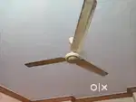 Crompton ceiling fans for sale