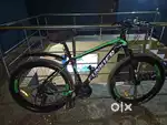 7 Gears cycle