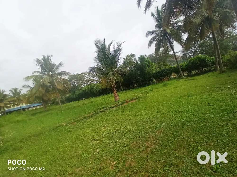 Agricultural Land for Rent