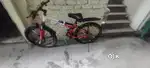 APPGROW GEAR AND FOLDABLE CYCLE