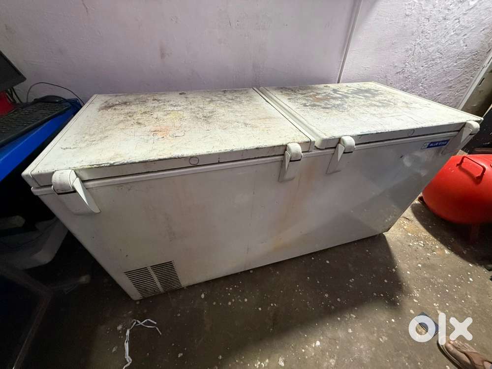 Blue star freezer 500L
