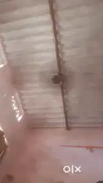 Celling fan