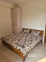 1bhk flat for rent in chattarpur