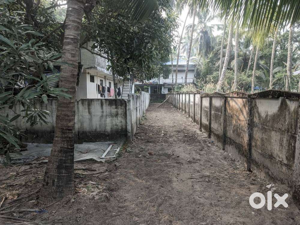 11 cent plot for sale near Guruvayoor temple Mammiyoor