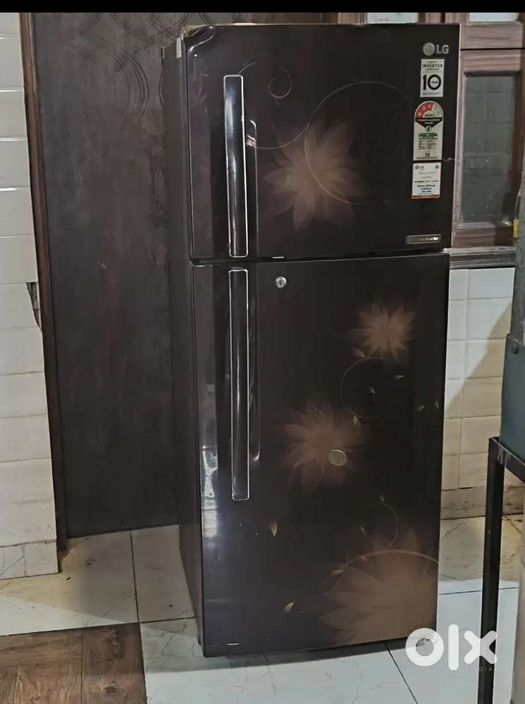 Lg double door fridge