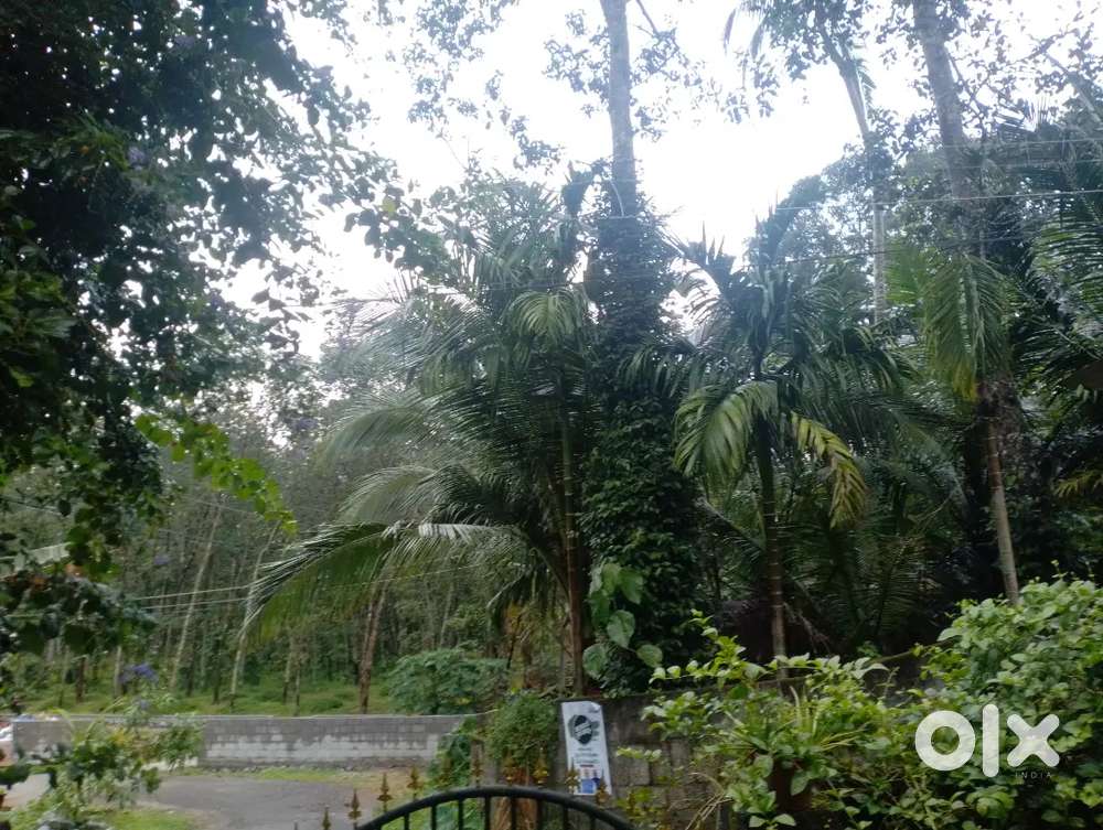 17 cent lorry plot for sale, road side