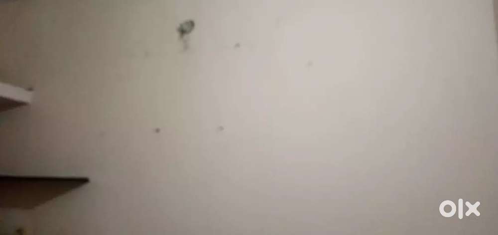 Rentel house roof one singal room only