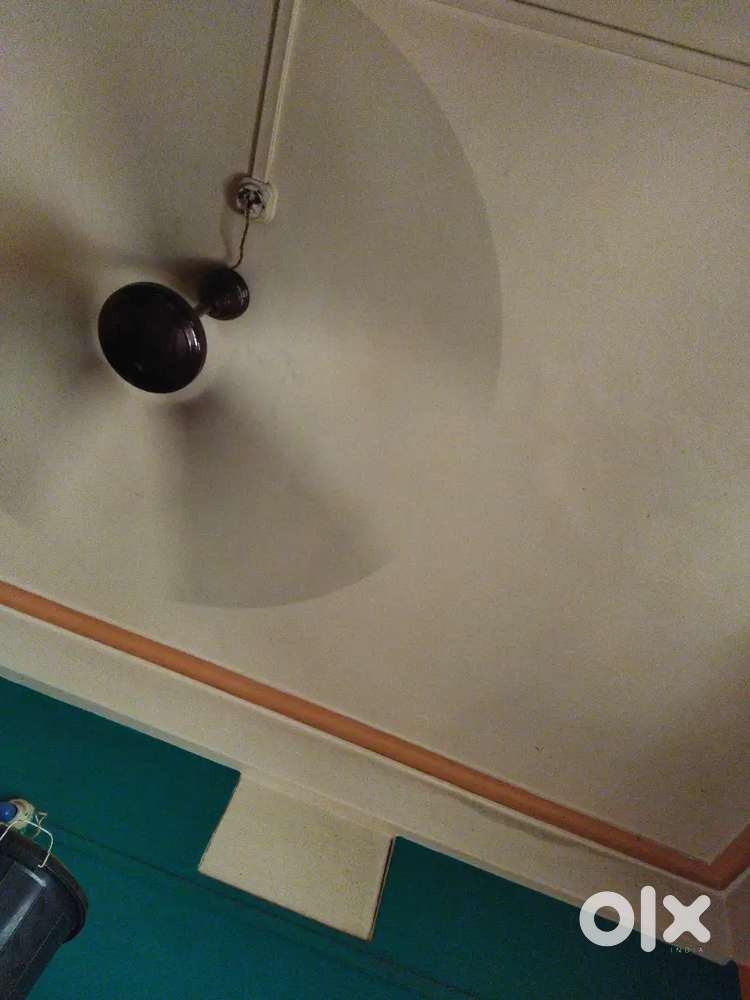 Family থাকার জন‍্য খালি বাড়ি ভাড়া নিতে চাই