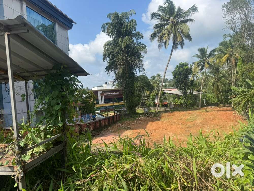Adoor commercial property sale 27 cent