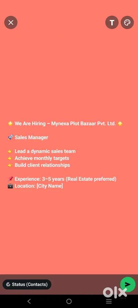 Sales manager