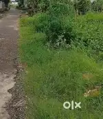 Plot for sale rto road puranpur