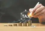 INCOME TAX RETURN