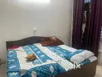 Need a female roommate