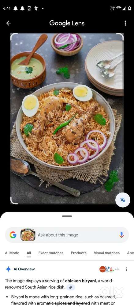 I want job urgent all rounder chef me no tiffins tandoori