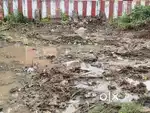 15 ankanamulu turpu stalamu