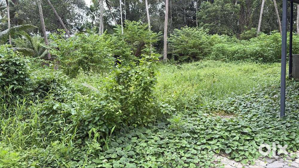 Plot for sale in Irinjalakuda