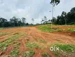 Budget House plots at Thiruvaniyoor, Chottanikkara