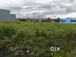 Plot for sale near selaqui (direct owner plot)