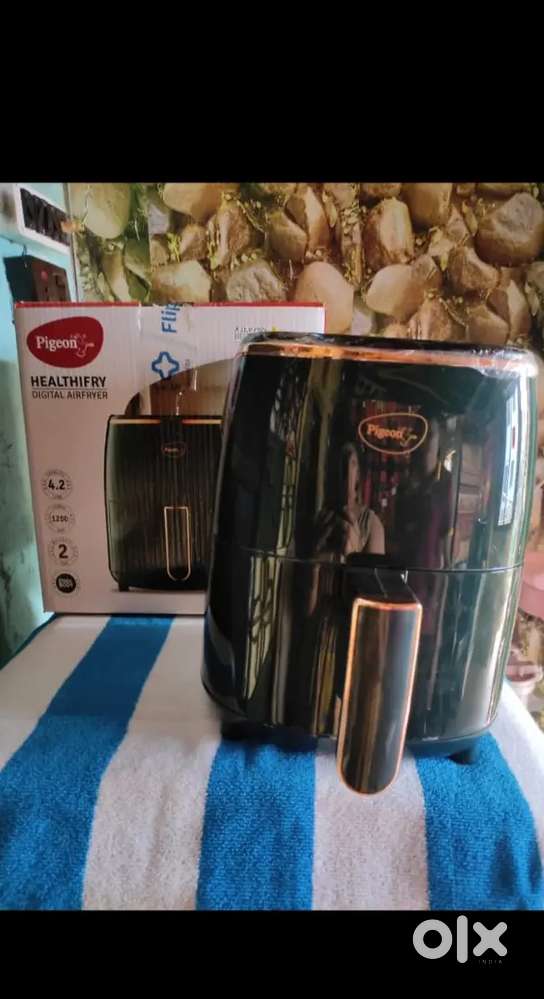 Air fryer Pigeon
