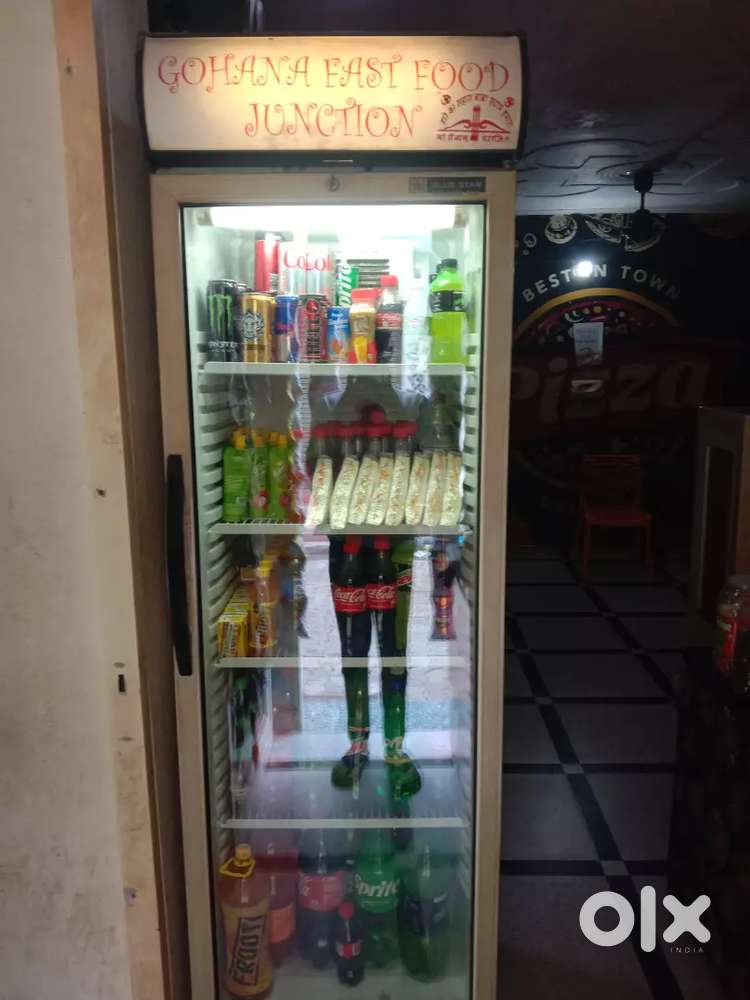 Blue star vigi cooler fridge