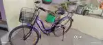 Lady Bird Cycle for Sale