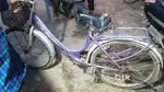 Ladies cycle