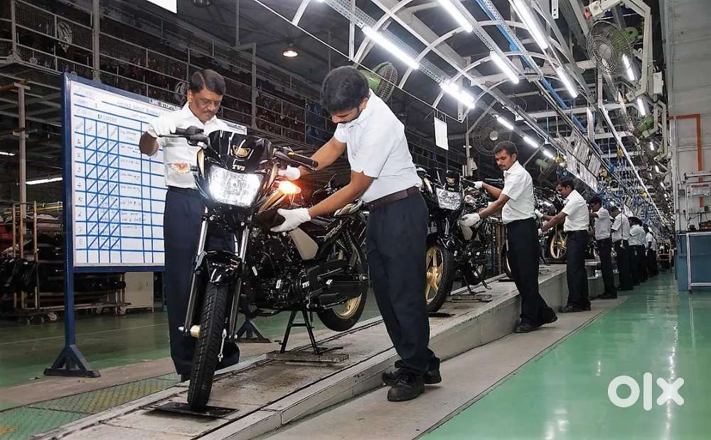 Were hiring freshers for job