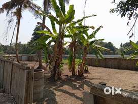 5 cent 6 cent plot for sale njarakkattu road N.paravur