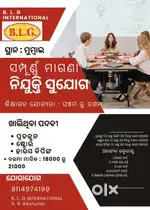 BLG INTERNATIONAL LTD