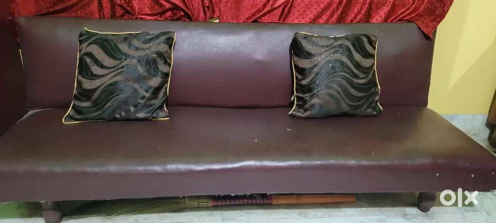 Sofa cum bed with two cushions