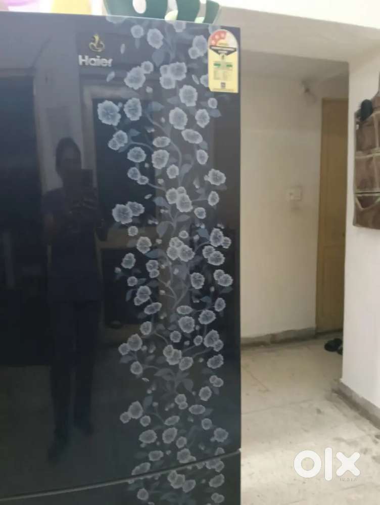 Double door higher fridze