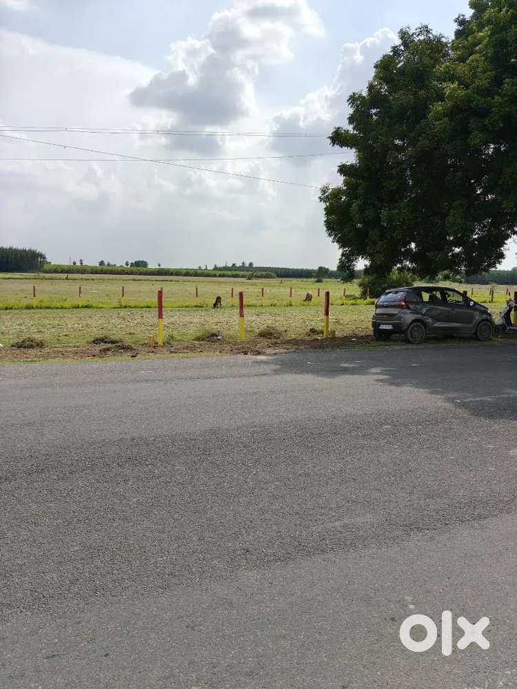 Shop plots Thuravi On Road Commercial plots State highway property