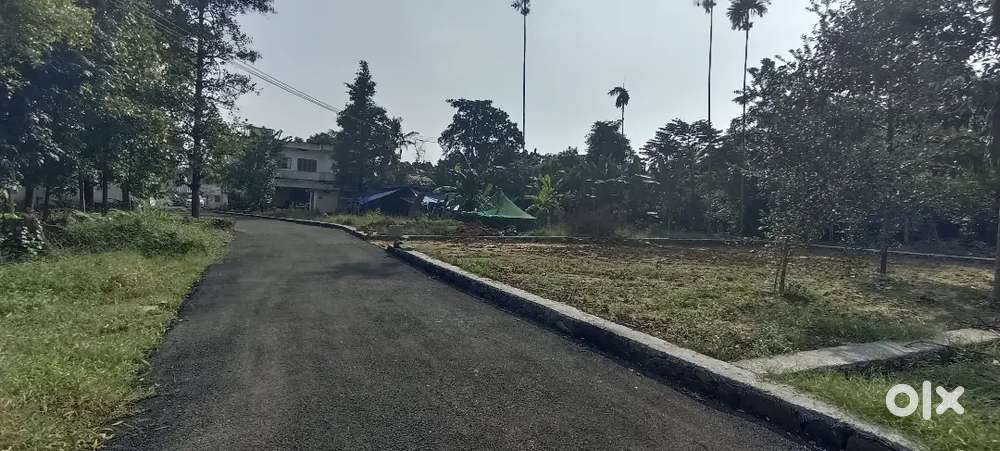 ANGAMALY ST,REETHA CHURCH NEAR, 5 6 8 10 CENT PLOTS