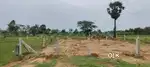 166.66 sq yd South Facing Site Balaga Srikakulam