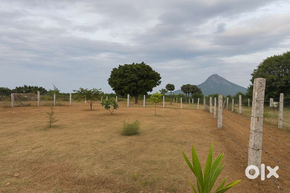 DTCP Approved 7200 sqft Plot for Sale – Vediappanur, Tiruvannamalai