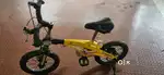 Rabbit brand cycle