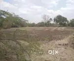 Farming land for sale