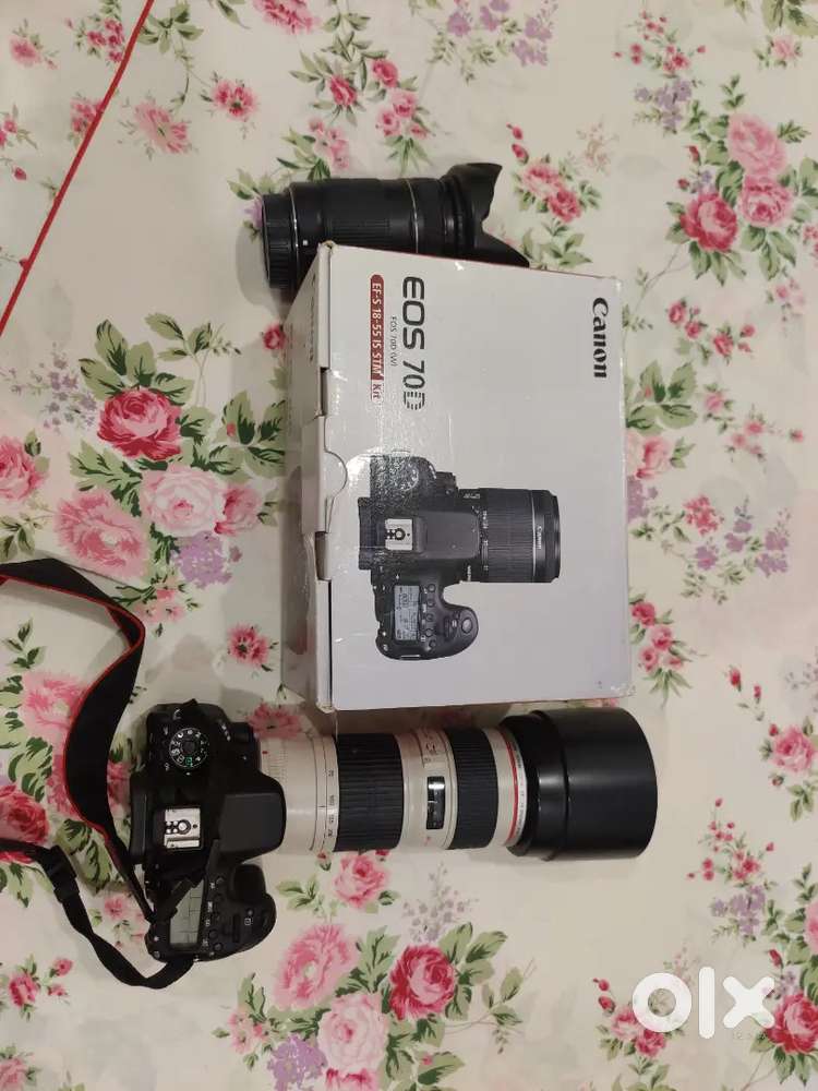 Canon 70d with lens