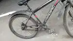 Cardiac 29T and kross 24 T cycles for sale