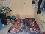 Urgent need 1 room mate for room sharing