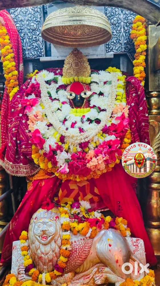 General plot in brgain Bariyatu