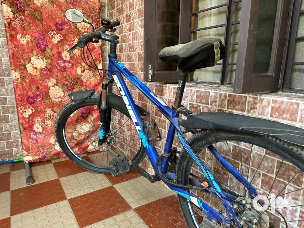 Cycle with gears
