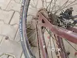 Caya bicycle