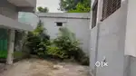 Shah consultancy