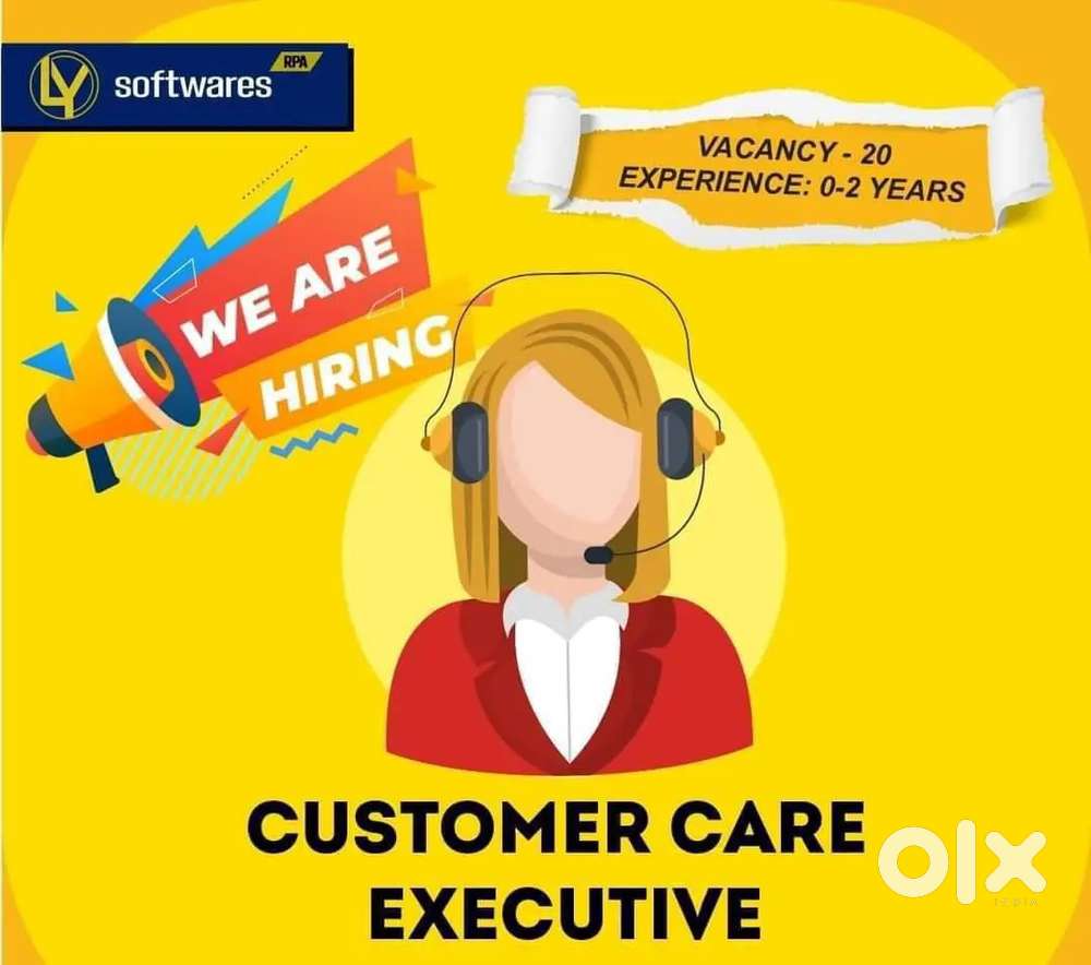 Looking for customer service executive