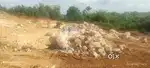 Rocks for sale