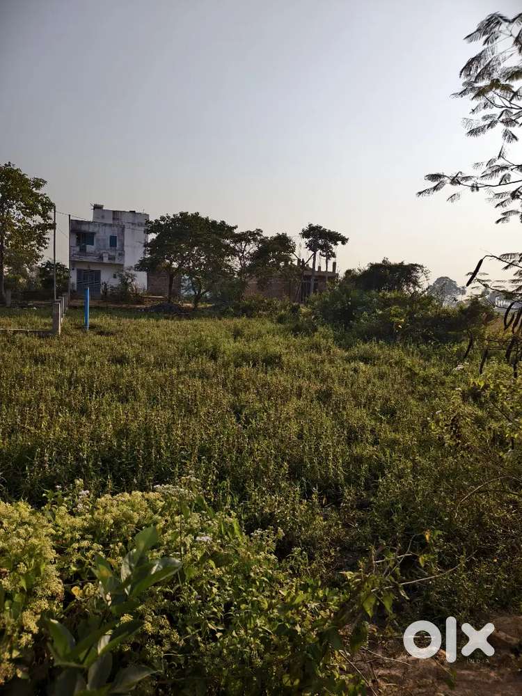 Mayapuri 7th line near sani mandir, Plot For Sale Berhampur